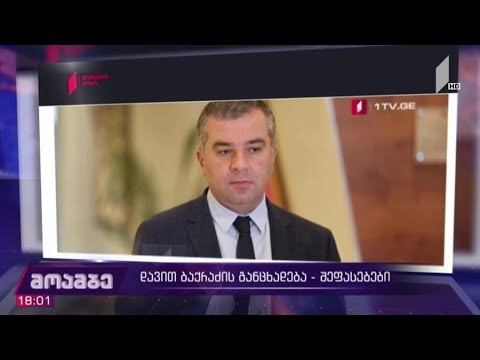 დავით ბაქრაძის განცხადება - შეფასებები